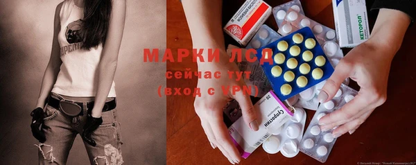 PSILOCYBIN Горняк