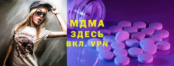 индика Дмитровск