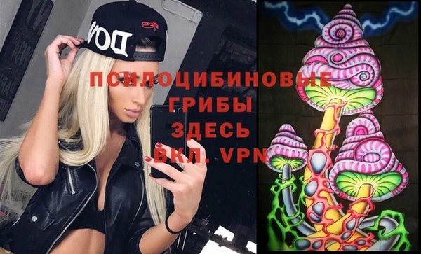 индика Дмитровск