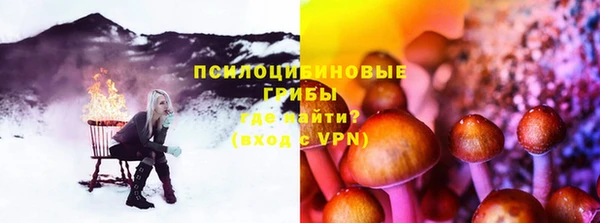 индика Дмитровск