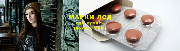 дмт Дмитров