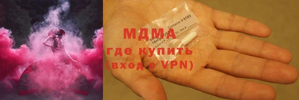 индика Дмитровск