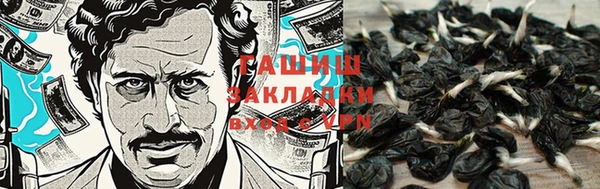 PSILOCYBIN Горняк