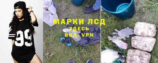 индика Дмитровск