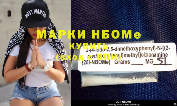 индика Дмитровск