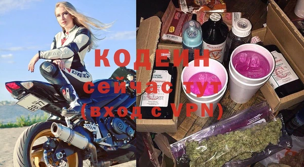 PSILOCYBIN Горняк