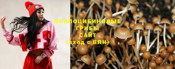 индика Дмитровск